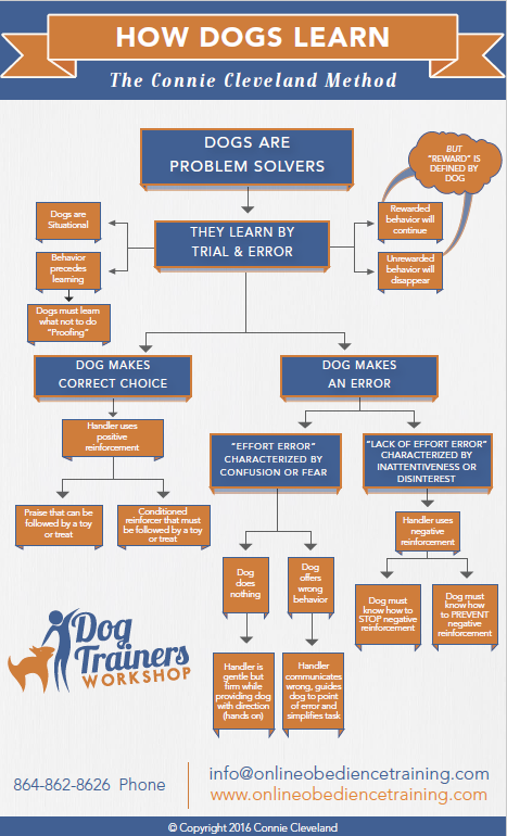 New Dog or Puppy Library Resources | Dog Trainers Workshop - Flowchart
