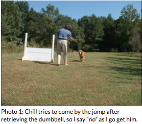 Photo of chill tries to come by the jump after retrieving the dumbbell