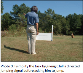 Photo of trainer giving chill a directed jumping signal before asking him to jump