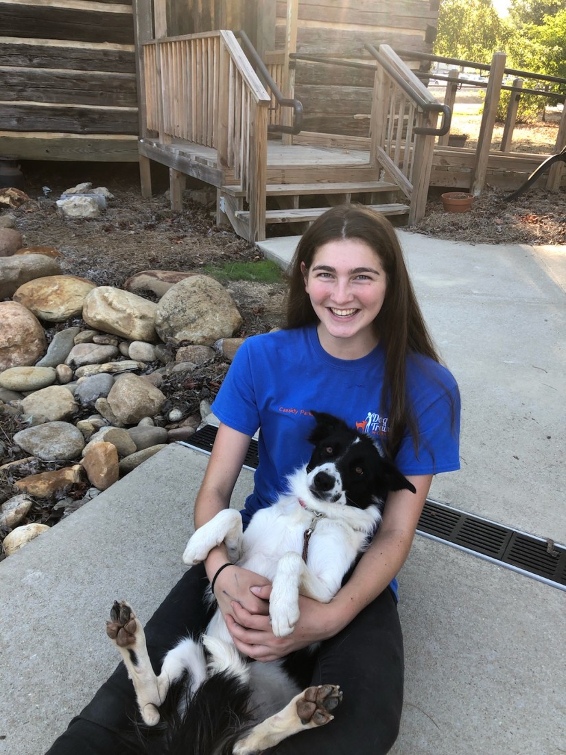 About Dog Trainers Workshop In Fountain Inn, SC - Cassidy_%26_Peaches