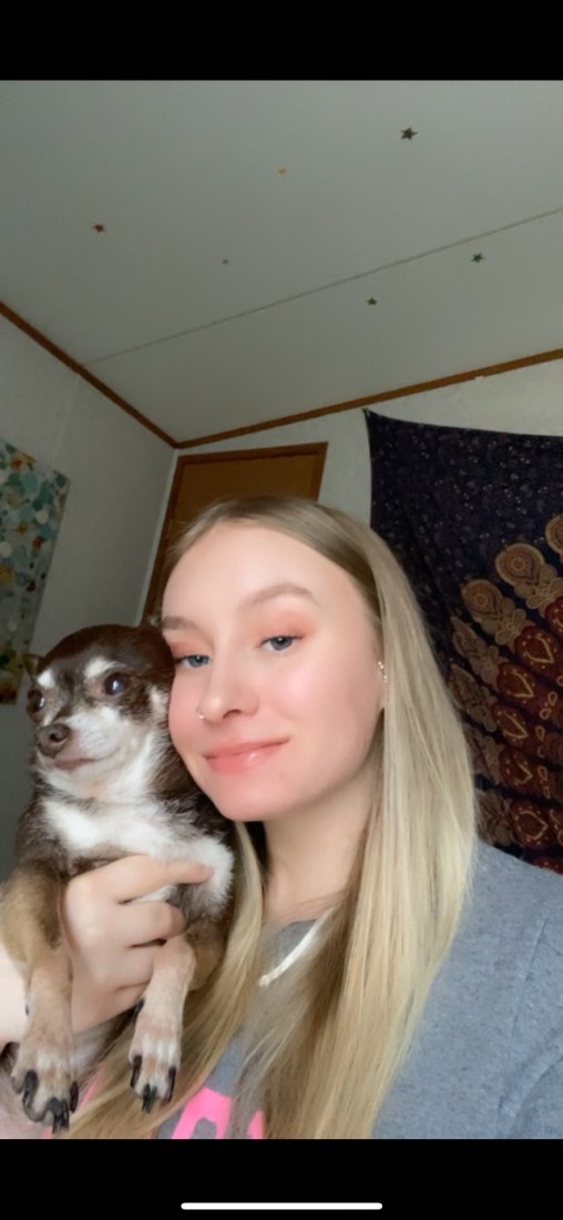 Photo of Hannah and a Chihuahua Dog