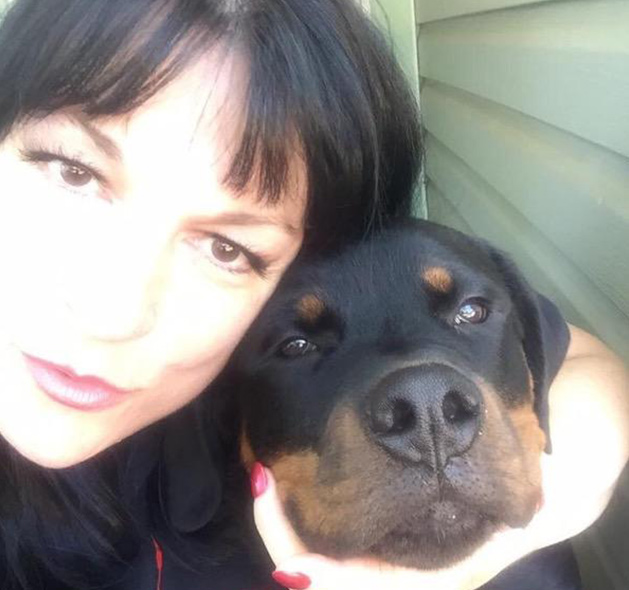 Get To Know About Dog Trainers Workshop In Fountain Inn, SC - tracy1